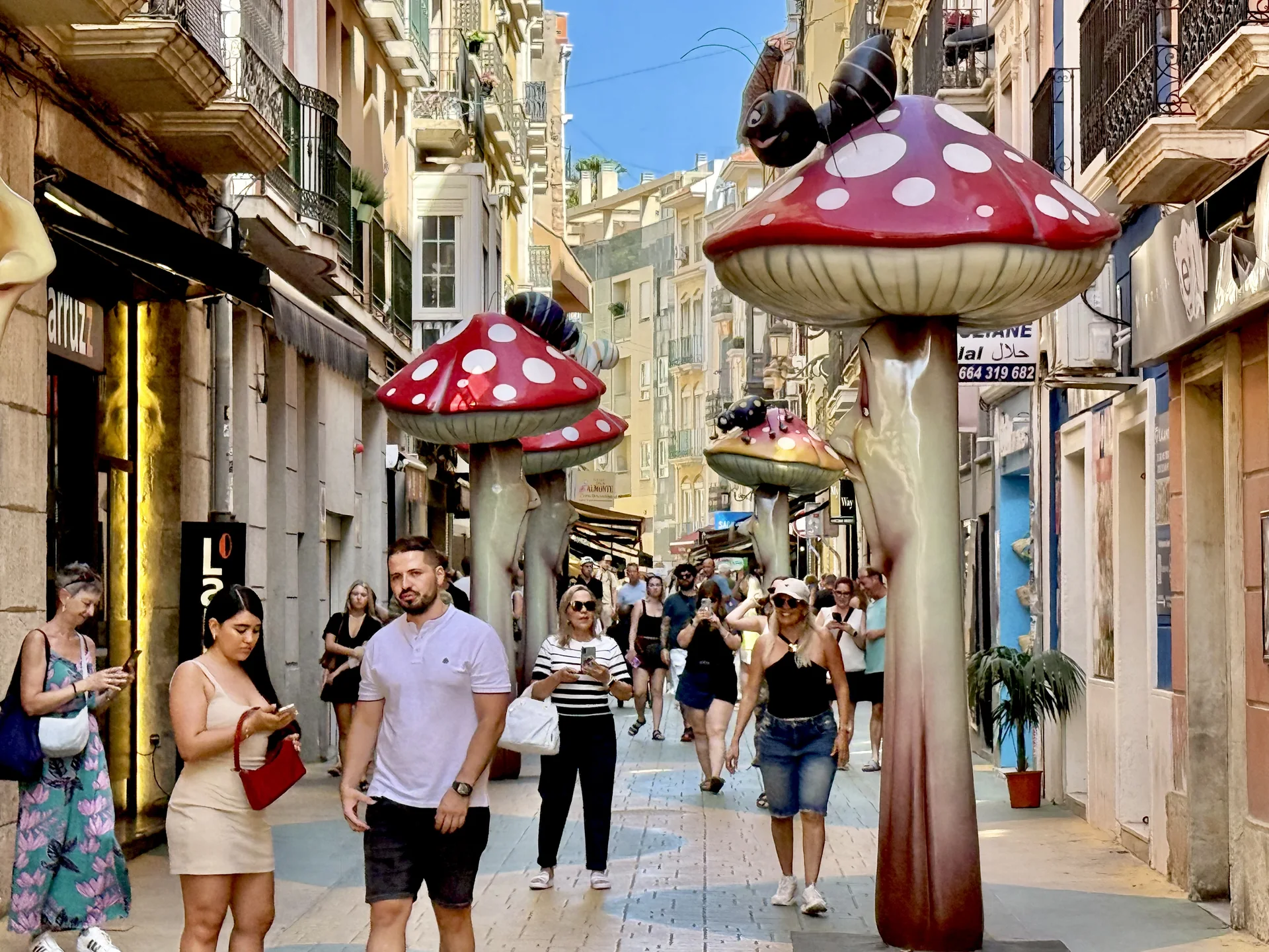 Alacant · Carrer dels Bolets