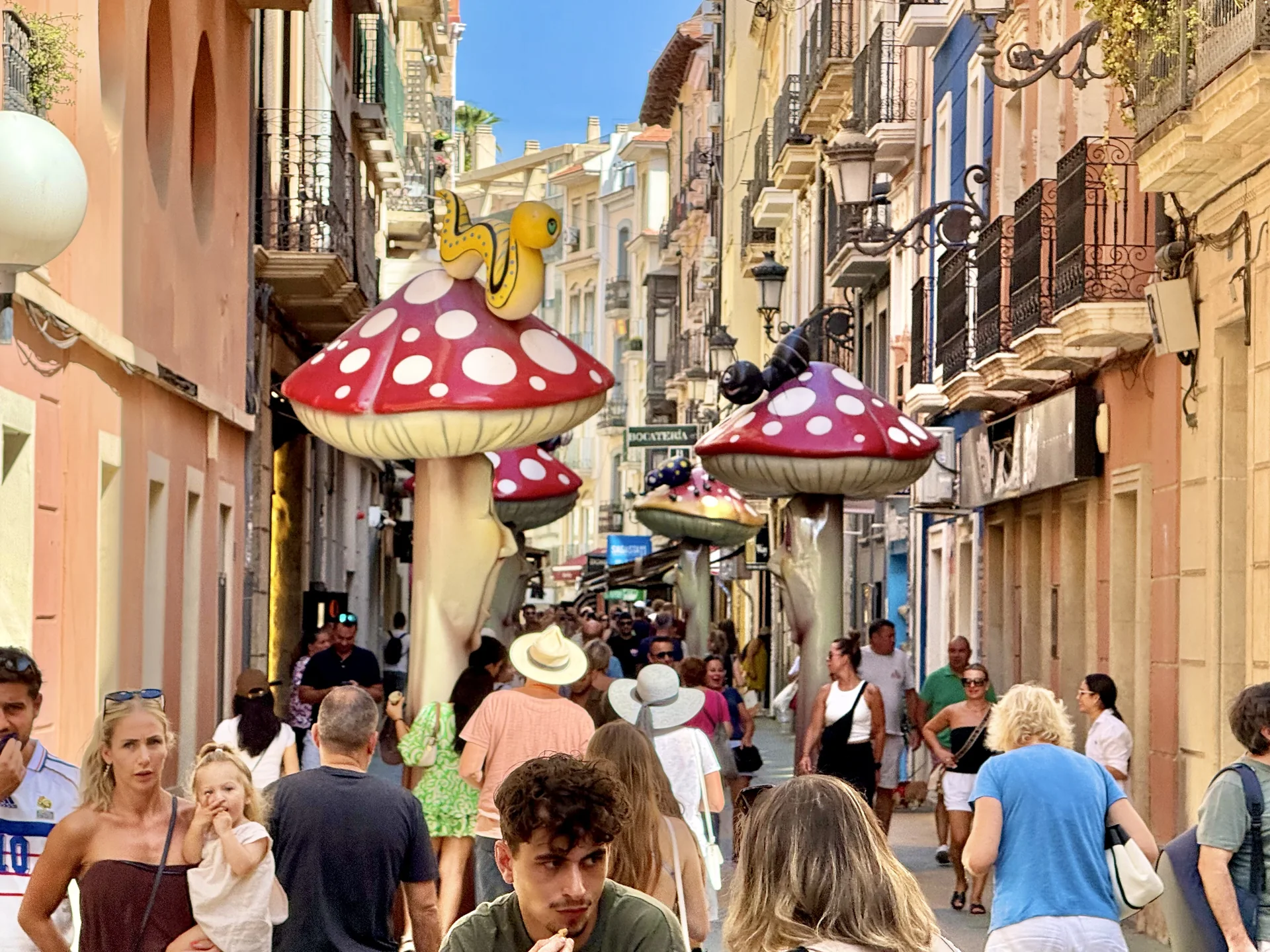 Alacant · Carrer dels Bolets