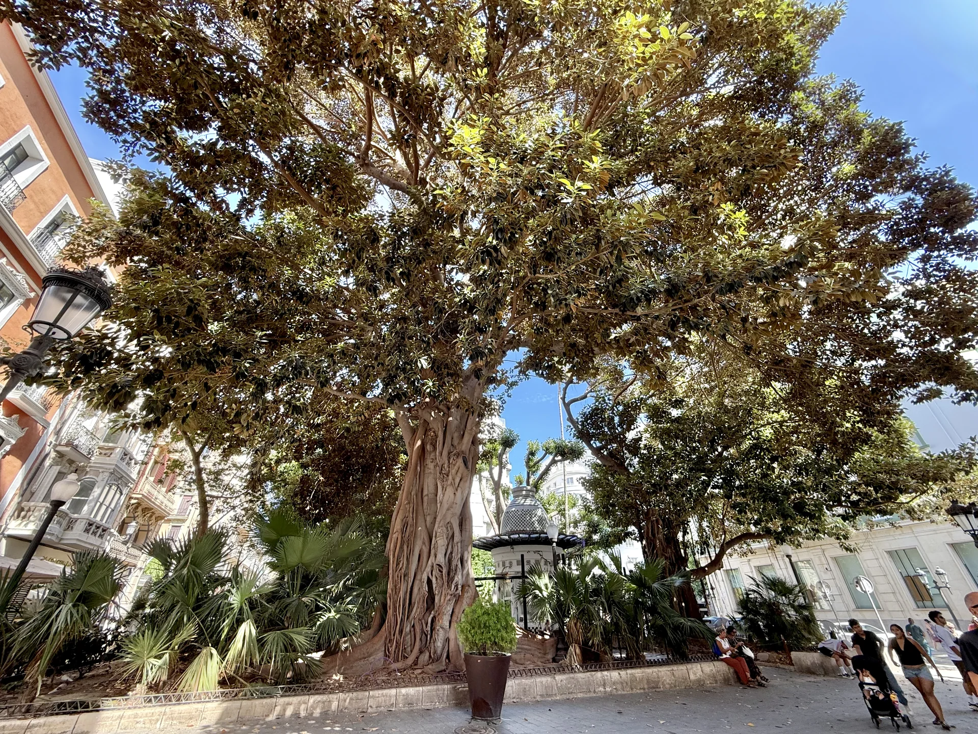 Alacant · Portal d’Elx